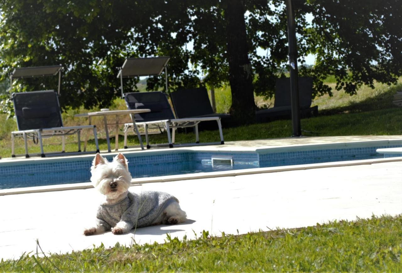 Le Shedeaux Villa Saint-Privat-des-Prés Екстериор снимка